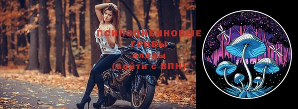 индика Абаза