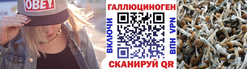 закладка  Пудож  Галлюциногенные грибы Cubensis 