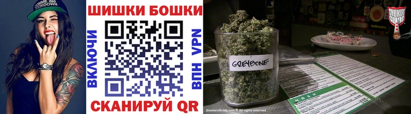 купить наркотики цена Пудож Бошки Шишки сатива